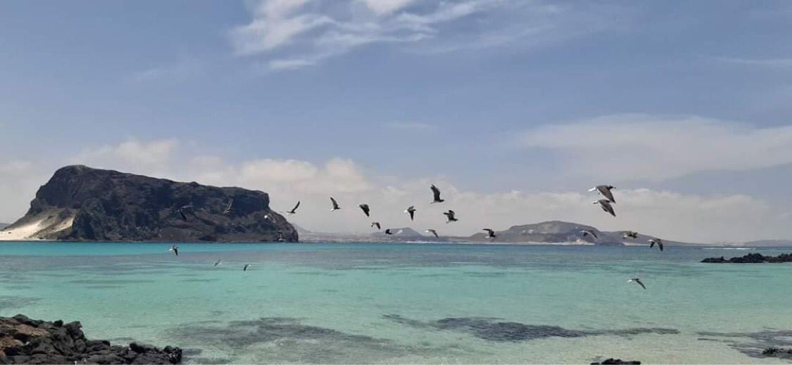 جزيرة عش الغراب، محافظة شبوة على البحر العربي شرقي البلاد.  ‏⁧⁩