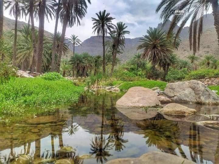 صور من اليمن: وادي المخشب مديرية الوازعية بمحافظة تعز، جنوب غربي البلاد.
