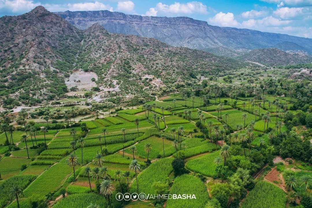 صور من اليمن: بني شيبة ، مدينة التربة، محافظة تعز جنوبي غرب البلاد.