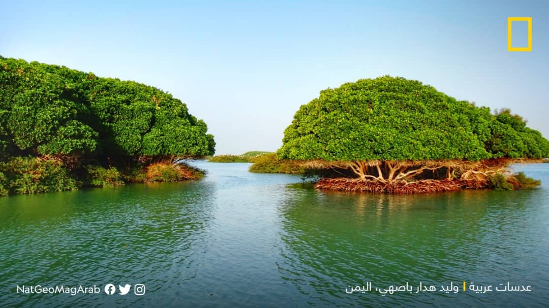 صور من اليمن: جزيرة كمران، كبرى الجزر اليمنية في البحر الأحمر.