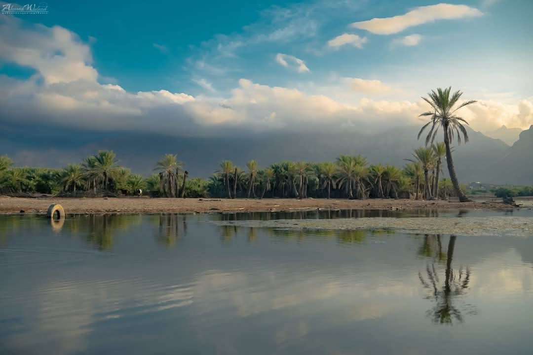 صور من اليمن: خور سيرهن، جزيرة سقطرى النائية في المحيط الهندي.