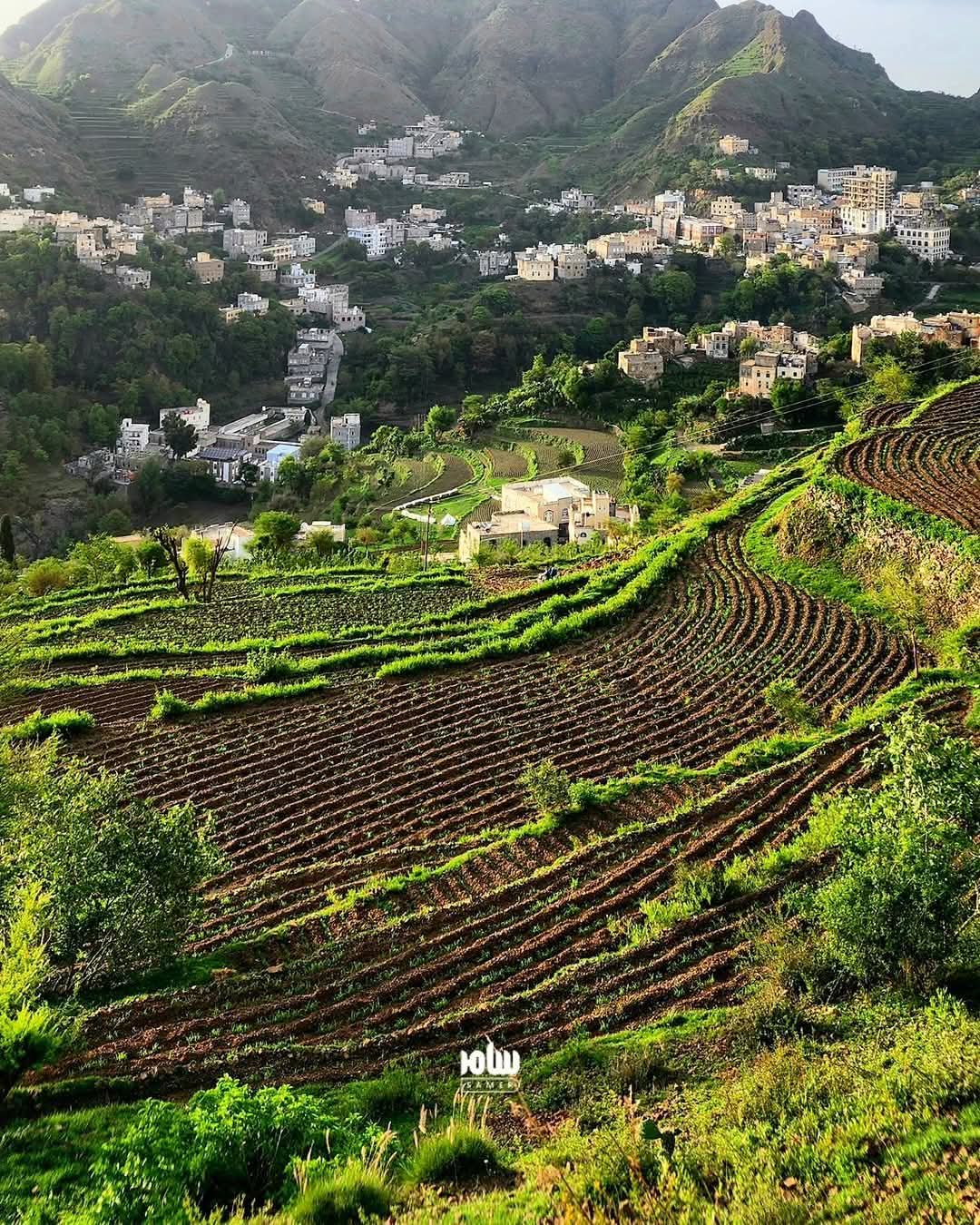 صور من اليمن: حزم العدين، محافظة إب وسط البلاد.