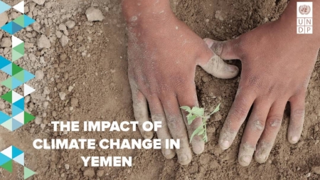 كوب 28: "البرنامج الإنمائي" يطلق غداً تقرير تأثير التغير المناخي على التنمية البشرية في اليمن
