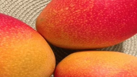 صحة: المانجو.. كيف تؤثر فاكهة الصيف المحببة على الصحة؟