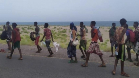 اليمن: ضبط أكثر من 300 مهاجر إثيوبي غير شرعي في المهرة