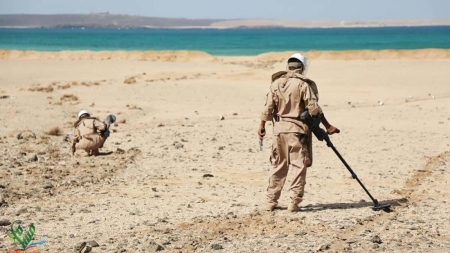 اليمن: "مسام" ينزع 1509 مواد متفجرة في النصف الأول من نوفمبر الجاري