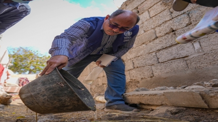 اليمن: تسجيل أكثر من 1400 إصابة بحمى الضنك منذ مطلع العام الجاري