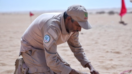 اليمن: "مسام" يتلف 600 مادة متفجرة من مخلفات الحرب في شبوة