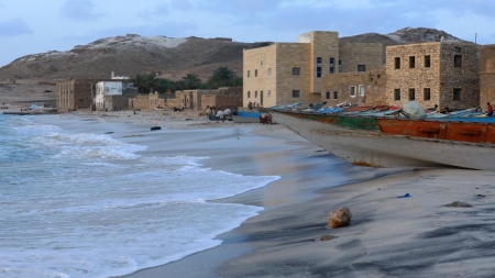 سقطرى: جنة اليمن المهددة.. هل تنجو من فخ البشر والمناخ؟