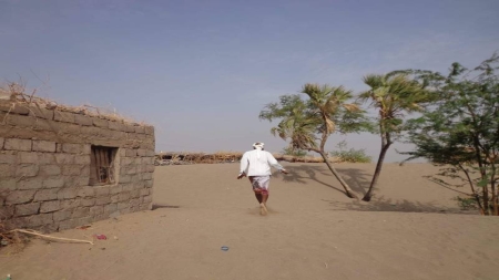 تقرير: العواصف الرملية تهدد محاصيل الزراعة وتدهور الآراضي