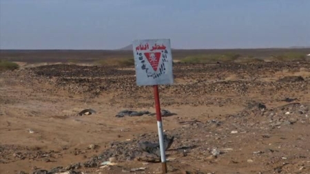 اليمن: مقتل طفلة بانفجار لغم من مخلفات الحرب في الحديدة