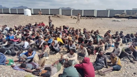 اليمن: وصول 255 مهاجرًا أفريقيًا غير شرعي إلى سواحل شبوة