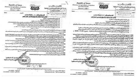 اليمن: حظر اصطياد خيار البحر والسلاحف البحرية ضمن إجراءات حماية الأنواع المهددة