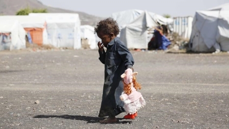 اليمن: الفاو تحذر من أزمة مناخية متصاعدة بسقطرى اليمنية تهدد الأمن الغذائي