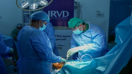 اليمن: بدء مشروع لزراعة 50 مفصلاً صناعياً لضحايا الحرب في مأرب بدعم سعودي