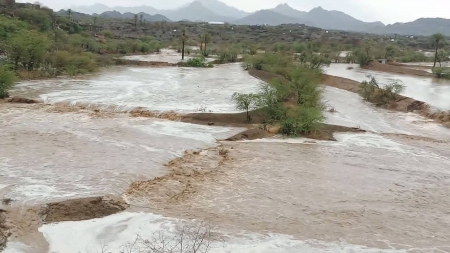 اليمن: "الفاو" تتوقع تضرر 409 آلاف هكتار من الأراضي الزراعية و1.7 مليون رأس ماشية جراء الفيضانات