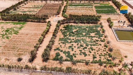 الرياض: توقيع اتفاقية لدعم المزارعين وتعزيز الأمن الغذائي في اليمن
