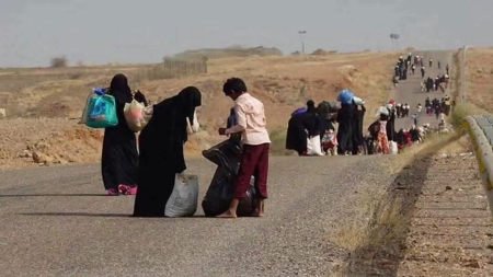 اليمن: شبكة التضامن النسوي تدعو لتوسيع الاستجابة للنزوح وزيادة التمويل المباشر للمنظمات اليمنية