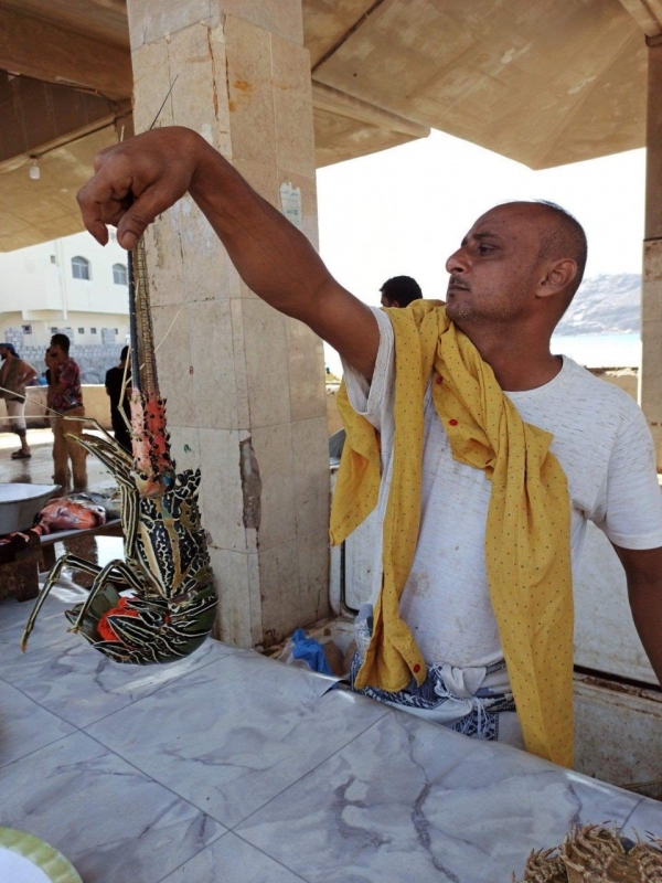 اليمن: كيف جلب صياد الحديدة النازح الثروة الى اصدقائه في عدن؟