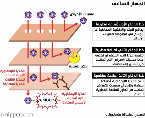 صحة: ما تعرفه عن الجهاز المناعي