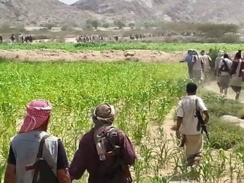 اليمن: المجلس الانتقالي يدعو قواته الى 