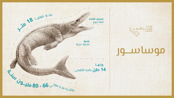 منوعات: اكتشاف عظام سحلية بحرية ضخمة عمرها 80 مليون عام في السعودية