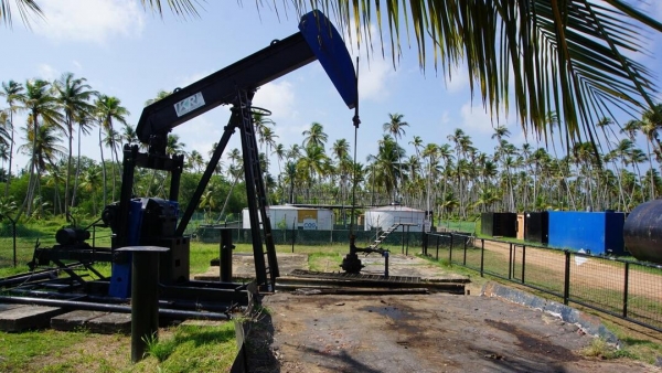 اقتصاد: النفط يواصل خسائره مع استمرار الضغوط على توقعات الطلب العالمي