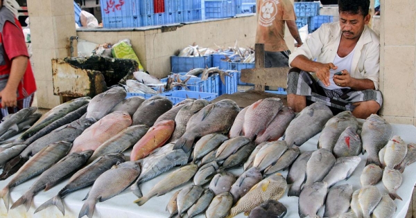 اقتصاد: تدمير منظّم للثروة البحرية في اليمن..واختفاء الأسماك