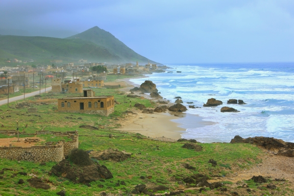 اليمن: مقتل امرأة وطفلين بانفجار قنبلة في المهرة