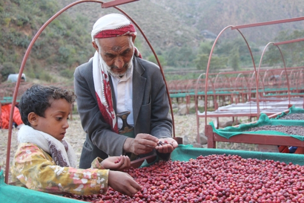 اليمن: مشروع 