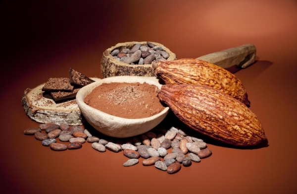 صحة: الكاكاو وتأثيره على العين.. نتائج واعدة من تجارب مخبرية