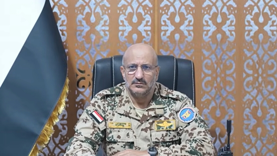 اليمن: طارق صالح 
