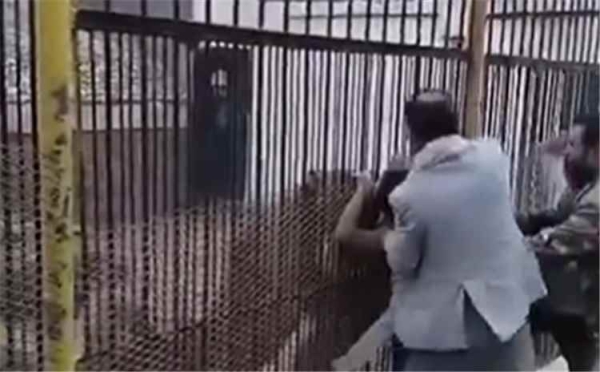 اليمن: أسد يتسبب في بتر يد طفل داخل حديقة الحيوان بصنعاء