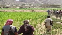 اليمن: المجلس الانتقالي يدعو قواته الى "الدفاع" عن لودر
