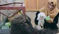 اليمنية لجين الوزير تحوّل سطح منزلها إلى مزرعة حيوانات