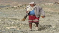 اسوشيتد برس: القوات الحكومية تستعيد مساحات من الأراضي وسط اليمن
