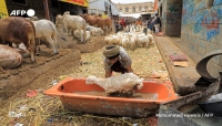 فرانس برس: عيد صعب في اليمن مع ارتفاع الأسعار وتدهور قيمة الريال