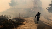 رويترز: الجزائر تقول إن حرائق الغابات متعمدة والوفيات ترتفع إلى 6