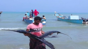 اليمن: صيد الأسماك ملاذ لمغادرة الفقر