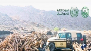 الرياض:السلطات السعودية تقول انها ضبطت يمنيا واثيوبيا بتهمة قطع الاشجار وتحويلها الى فحم