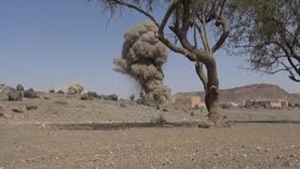 الرياض: التحالف يقول ان نحو 3500 من المقاتلين الحوثيين قضوا بغاراته الجوية خلال شهر
