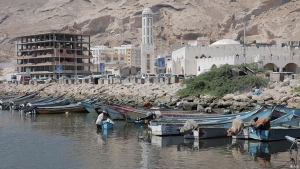 اليمن: كيف عطلت قوات التحالف الاصطياد السمكي في الساحل الشرقي؟