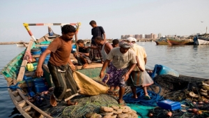 اليمن يكافح من اجل استعادة زخم عائداته السمكية