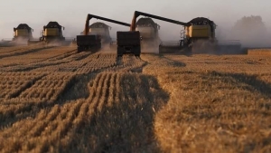 اقتصاد: أسعار القمح والذرة تشتعل غداة التصعيد في الحرب الروسية الاوكرانية
