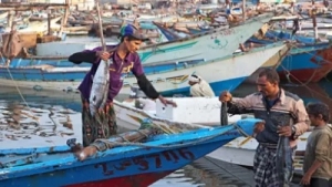 واشنطن: البنك الدولي يقدم منحة جديدة لليمن بمبلغ 45 مليون دولار لدعم القطاع السمكي