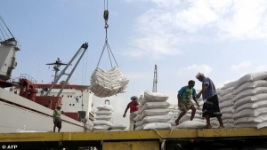 اليمن: الحكومة تبدأ مفاوضات مع الهند لاستيراد القمح