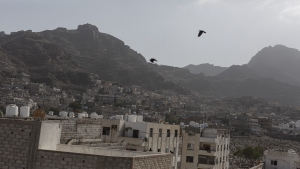 اليمن: المولدون في مواجهة العنصرية والوصم والتمييز في زمن الحرب