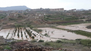 اليمن: الفاو تحذر من استمرار الأمطار الغزيرة والفيضانات حتى النصف الثاني من اغسطس