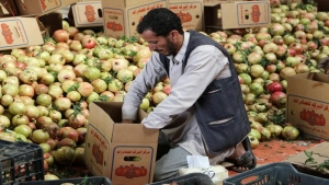 اليمن: الحوثيون يقولون ان قطاع الزراعة خسر اكثر من 111 مليار دولار جراء الحرب المستمرة منذ ثماني سنوات
