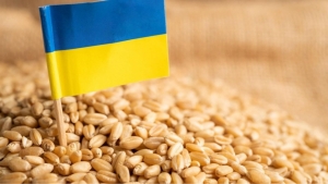 إسطنبول: الأمم المتحدة تقول إن أغلب الصادرات الغذائية الأوكرانية تذهب للبلدان ذات الدخل المرتفع